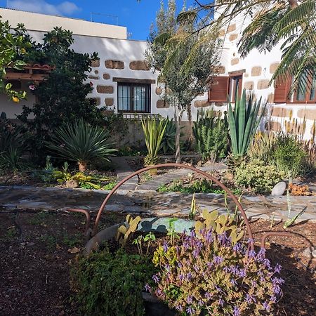 Casa Roberta Agua Daire Arona  Dış mekan fotoğraf