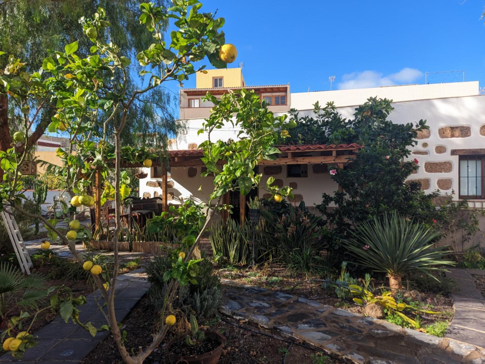 Casa Roberta Agua Daire Arona  Dış mekan fotoğraf