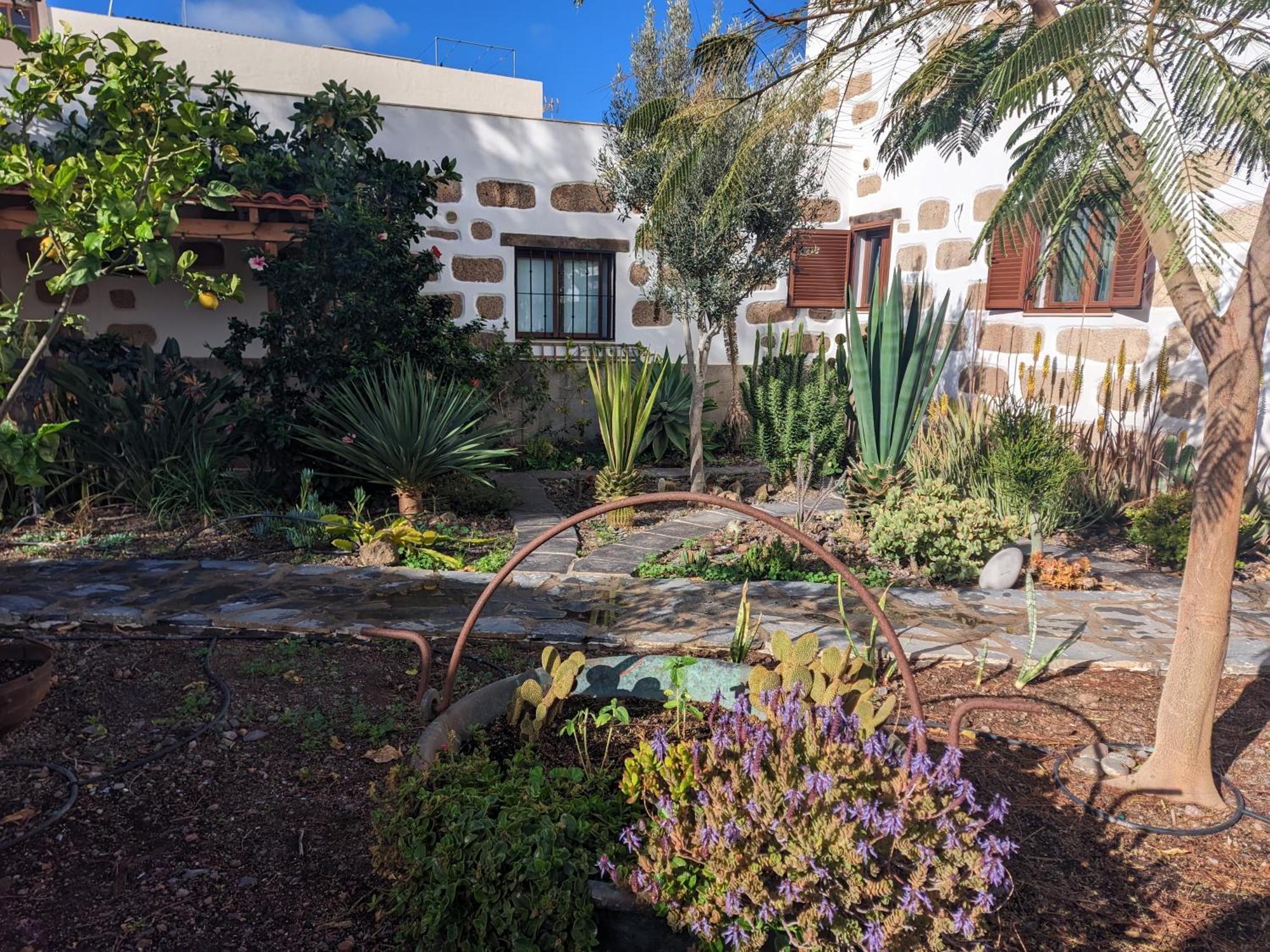 Casa Roberta Agua Daire Arona  Dış mekan fotoğraf