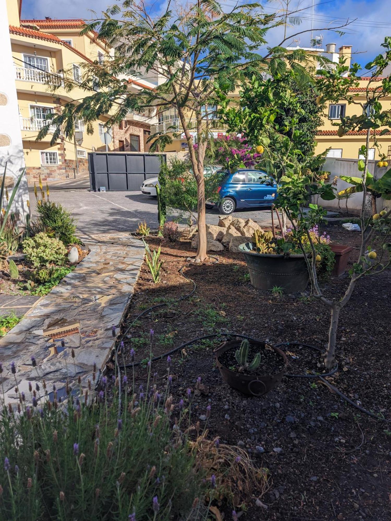 Casa Roberta Agua Daire Arona  Dış mekan fotoğraf